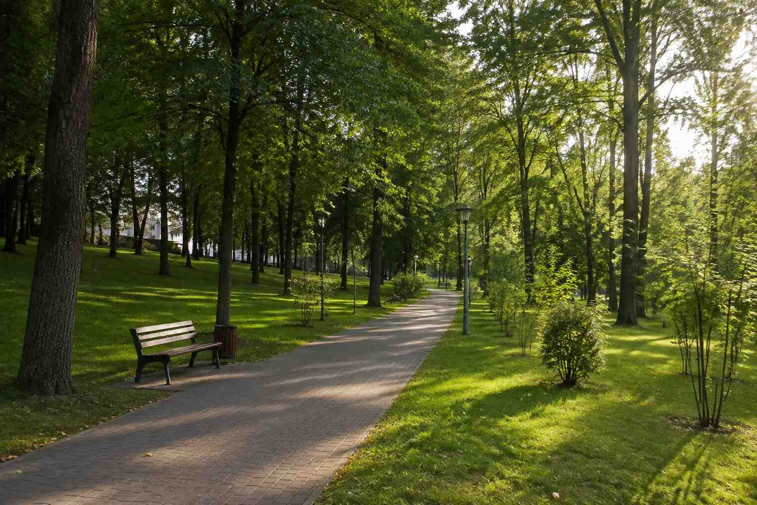 https://volzhskij.blago-s.ru/storage/app/uploads/public/6a7/eef/ed2/6a7eefed2af22038960370.jpg